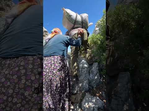 MAĞARAYA DERİ KOYDUK 🥳