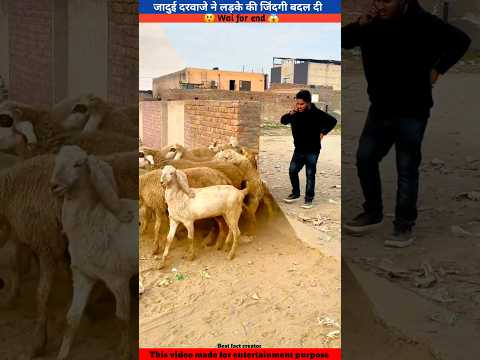 भेंड़ अचानक डबल हो गई😃~mini wood-toy woodworking art skills/hand craft/#shorts