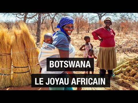 Botswana, le joyau Africain - désert - rivière - baobab - Documentaire voyage - AMP