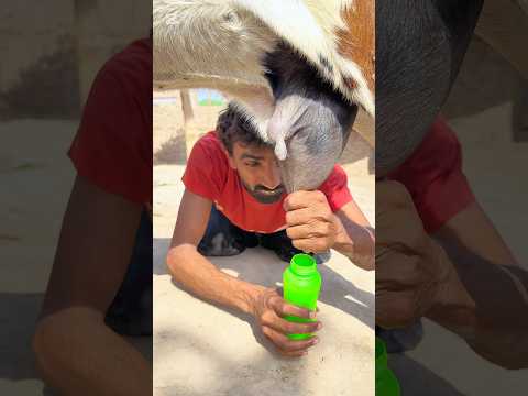 Admi ne aisa q Kya #trending #viral #islamic #ytshorts #foryou