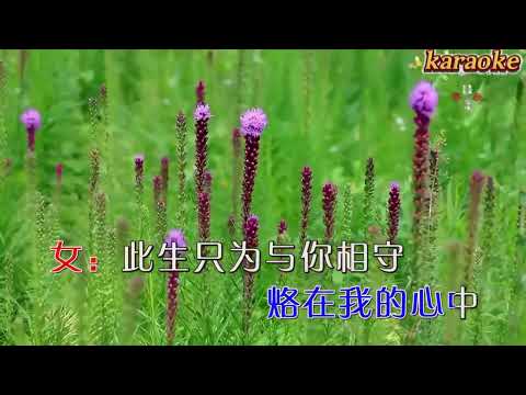 石倚潔 王一鳳 此生隻為與你相守karaokeKTV 伴奏 左伴右唱 karaoke 卡拉OK 伴唱 instrumental石倚潔 王一鳳 此生隻為與你相守karaoke