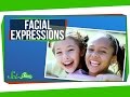 Understanding Facial Expressions and Emotions