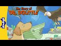 Jip's Adventure and Animal Communication