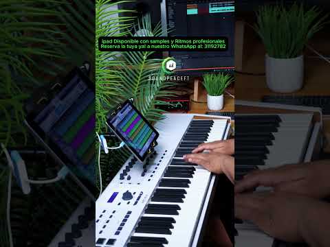 iPad Disponibles con más de 2000 Samples y más de 100 Ritmos Profesionales, a un Precio de Oferta!✅