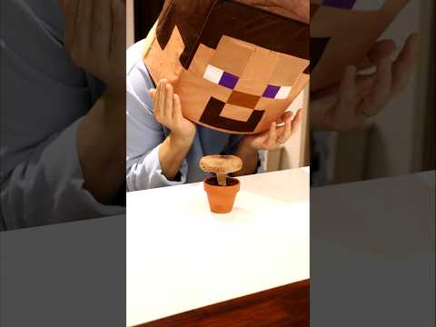 Minecraft Flower pot