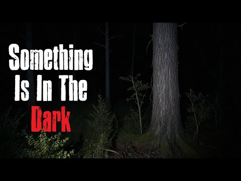 "Something Is In The Dark"