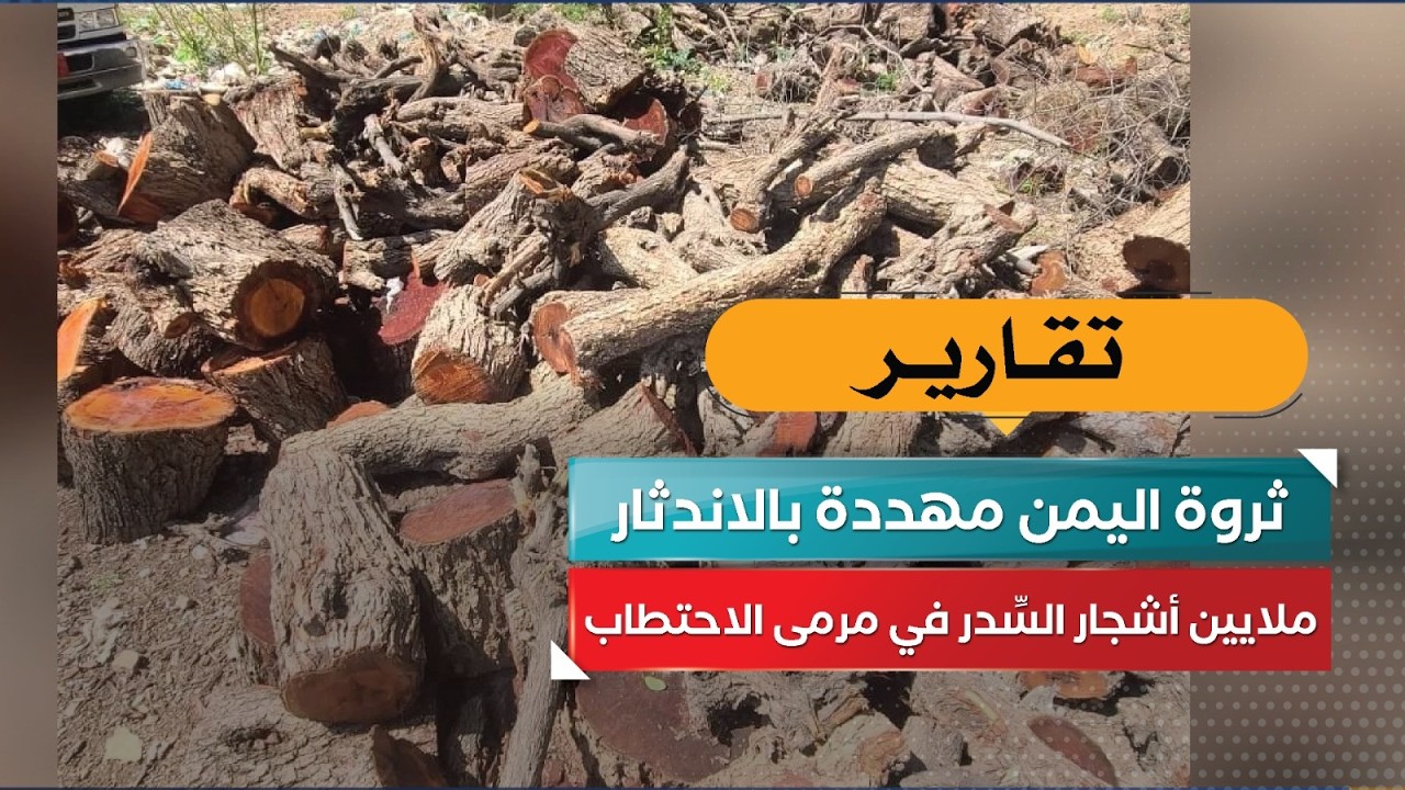 قناة السعيدة