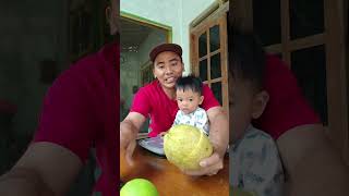 incip jeruk lemon tua dan lemon muda hasil dari top working di jeruk pamelo madu