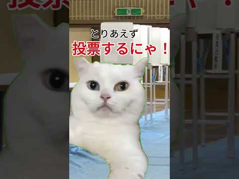 猫選挙に行ってみた！（追手門学院大学の学生が作成した選挙啓発動画）
