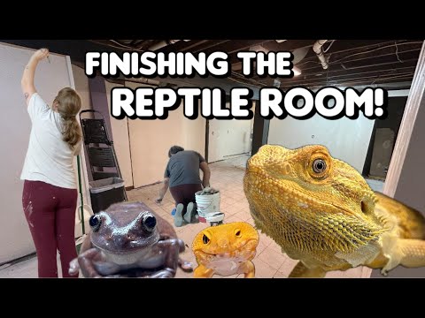 My Reptile Room is NEARLY Finished!!