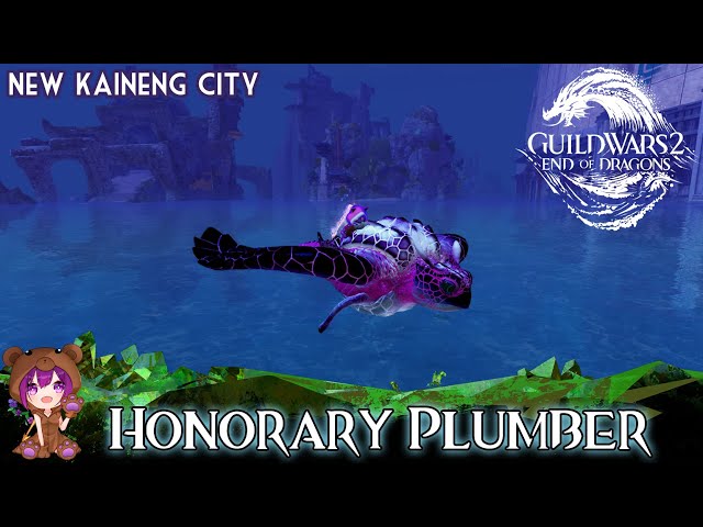 GW2 - Honorary Plumber achievement