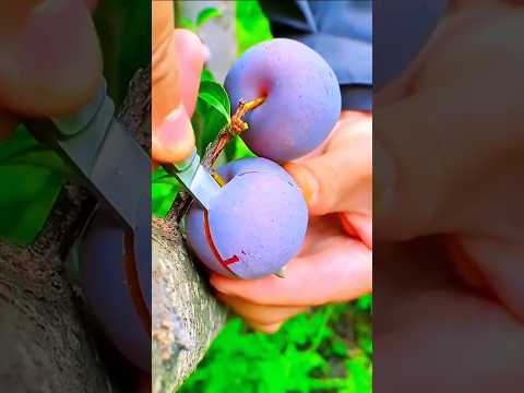 Appreciate nature's beauty! 🍊🍓🍌🍎🍇 #shorts #nature #fruit #garden #vegetables #foryou #shortvideo