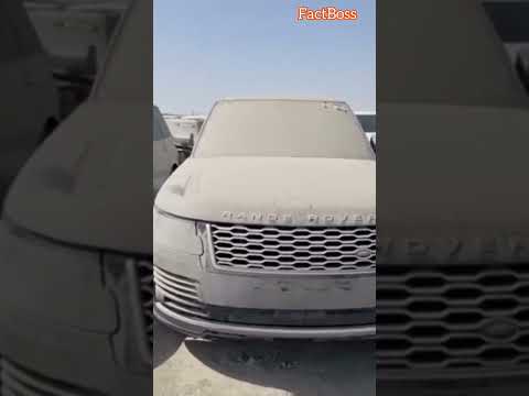 Dubai में यह भूलकर भी मत करदेना😱|#shorts