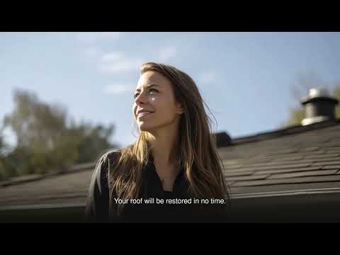 AAAC Wildlife Removal of Phoenix - Raccoon Exterminator Mesa