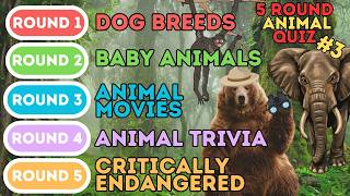 The 5 Round Animal Quiz | Dog Breeds, Baby Animals, Animal Movies, Trivia & Endangered (3)
