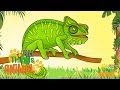 Chameleon Facts and Abilities