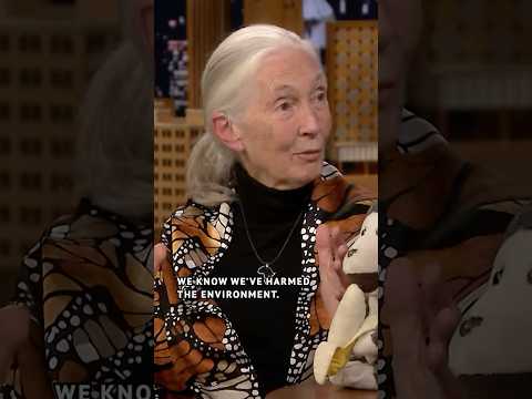 The late great #JaneGoodall reflects on her legacy and hope for the world.