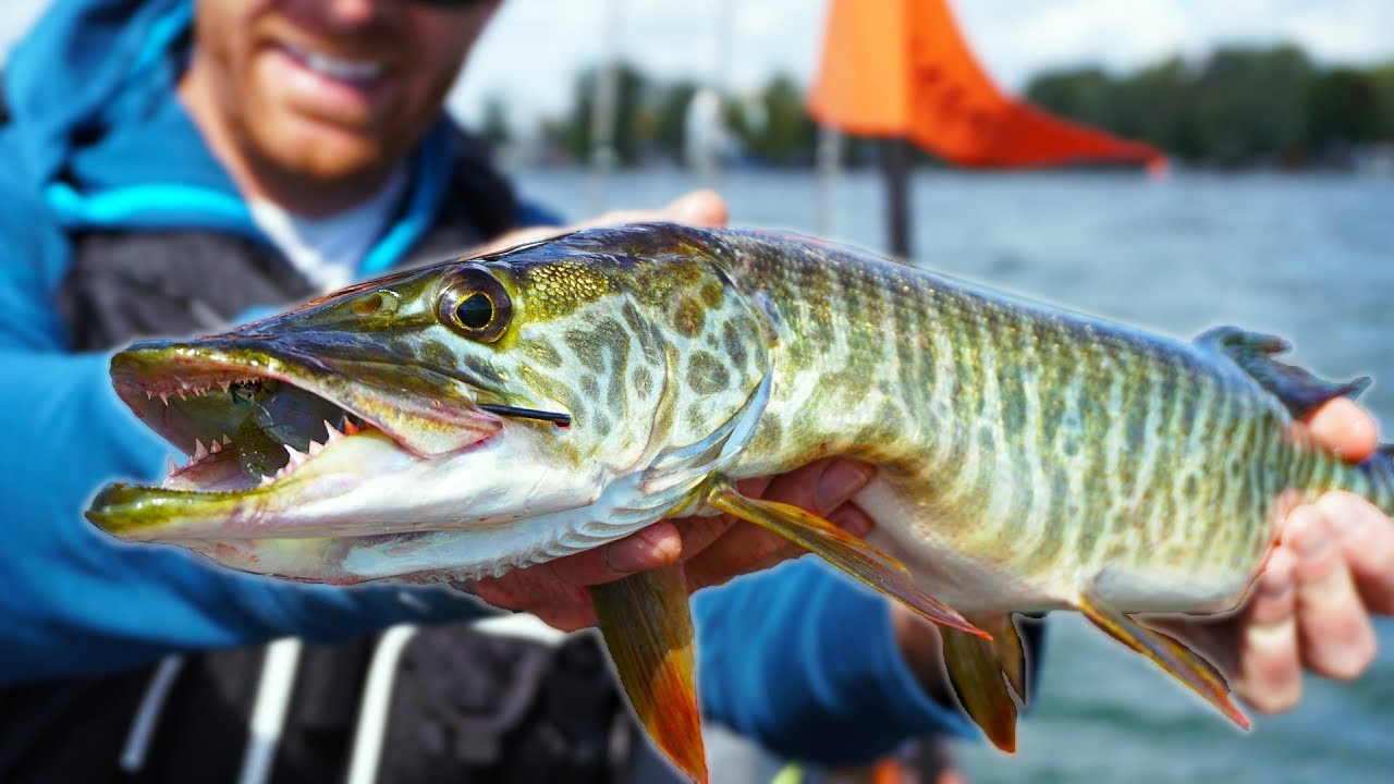 Kayak Fishing: The Fish of 10, 000 Casts Field Trips New York