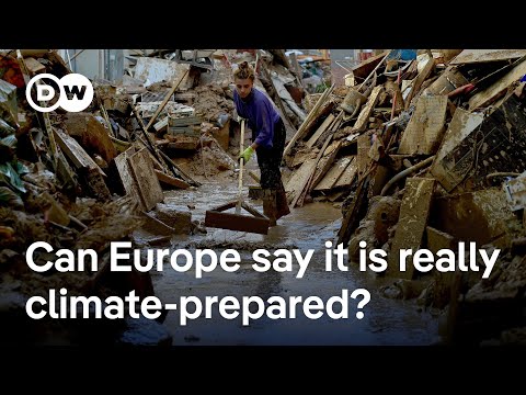 2024 was the hottest recorded year. What's Europe doing to adapt? | DW News