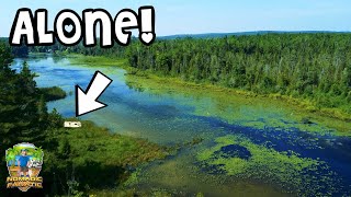 PEACE & QUIET in Michigan ~ Lake Front, Campfires, Games, Nature & MORE RAIN!!!