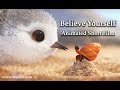 ビデオチュートリアルクイズ