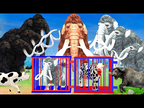 20 Zombie Black Mammoths Vs 20 White Woolly Mammoths Attack Cow Cartoon Baby Mammoth Saved by Mammot