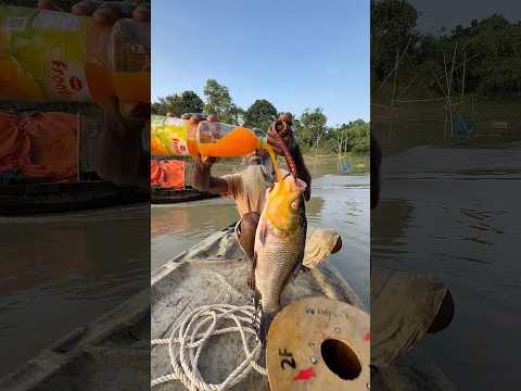 Oh unbelievable fishing method/39 #fishing #amazing