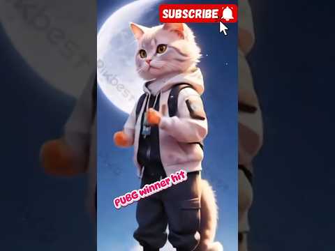 kucing menari pubg #cat
