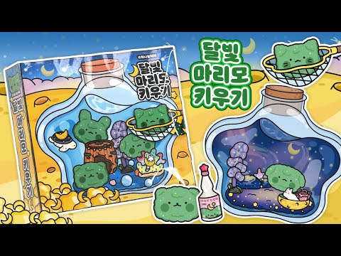 🌜달빛 마리모 키우기😘DIY 스퀴시북💚