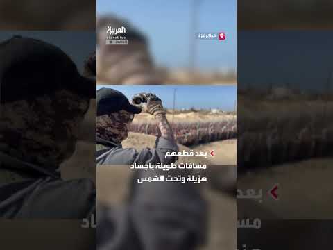 AlArabiya العربية