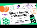 Vitaminas: Solubilidade e Funções