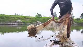 Village Fisher Cast Net Fishing Video | Traditional Cast Net Fishing in River | River Net Fishing