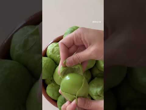Tomatillo Farming 😱