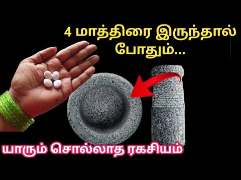 பல்லி கரப்பான் பூச்சிகள் ஒரே இரவில் காணாமல் போகும்|kitchen tips in tamil|@trendingsamayal