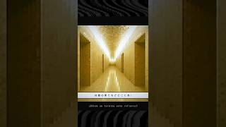 Looping the Rooms //  rusino - cover. Meica05 // Short