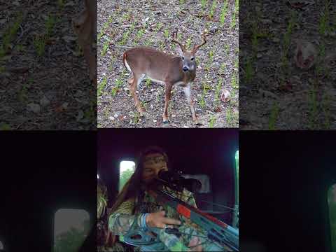 Have you ever tagged a buck during the first hunt of the season?