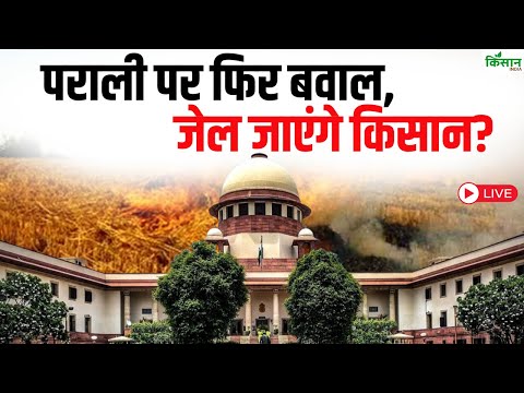 Live: पराली पर फिर बवाल, जेल जाएंगे किसान? | Stubble burning | Supreme Court on Parali