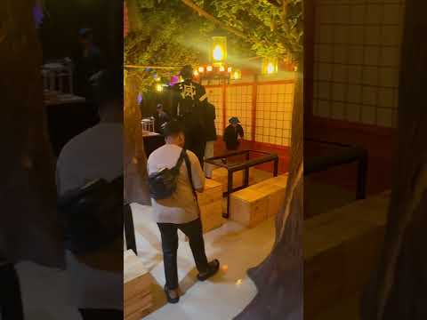 Aqilla main kejar kejaran bareng papa #shorts