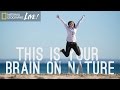 Nature and the Brain: Understanding the Connection