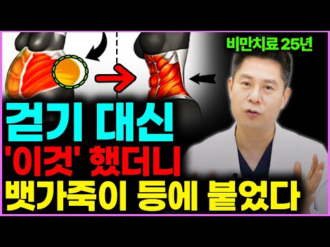 유독 뱃살만 나온 중년 만보 걷기 대신 '이걸' 꼭 하세요! 내장지방 전부 녹아내립니다 (이진복 원장 통합본)