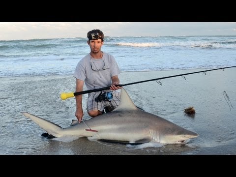 Shark Fishing At Sebastian Inlet