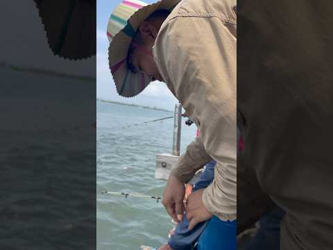 Small fish 🐠 #shortvideo #trending #reels #cooking #fishing #cooking #streetfood