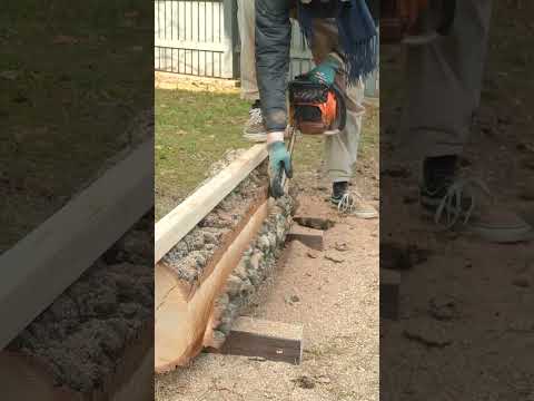 Easy Chainsaw Hack for Cleaner, Faster Timber Cuts! 🪵🪓 #shorts