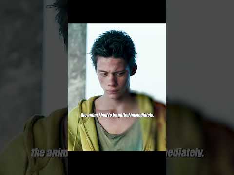 Surviving Alone in a Post Apocalyptic World—What Would You Do？ #movie #film