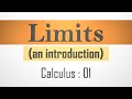 Understanding Limits and Function Behavior