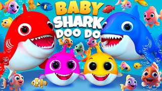 Baby Shark's  Dance Song - Baby songs -Nursery Rhymes & Kids #BabyShark #kids #viral #kpop  #shorts