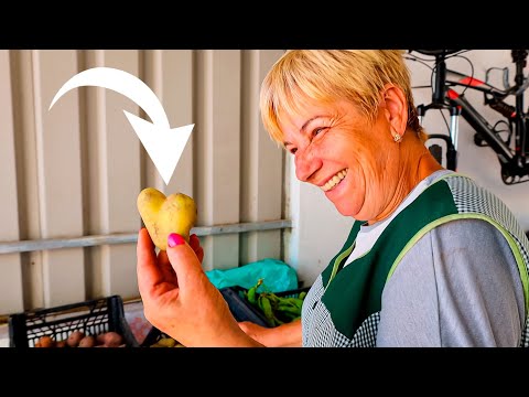 A Nova Cozinha ao Lado da Horta - A Combinação Perfeita!