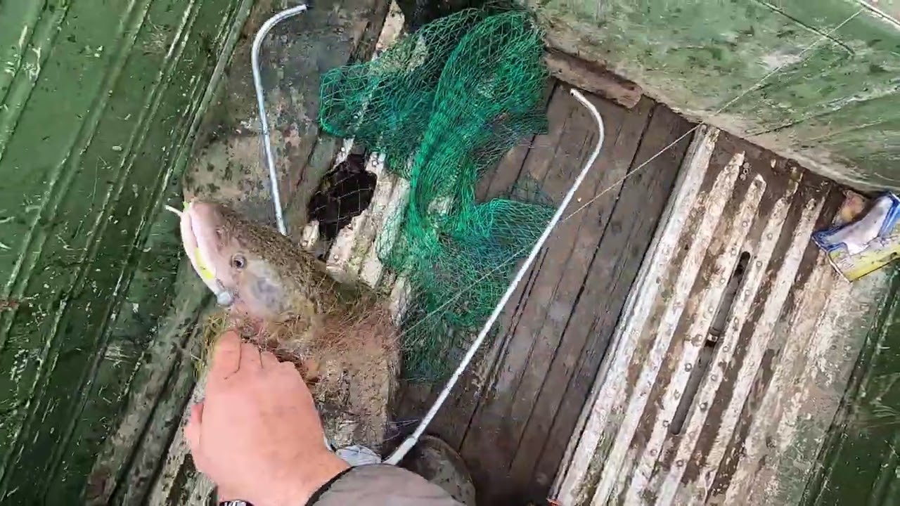 Рыбалка на Енисее. Осень. Часть первая. Fishing on the Yenisei. Autumn #1