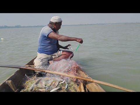 এ কি কান্ড চাচা জাল টান দিলেই মাছ উঠে। কারেন্ট জাল দিয়ে মাছ ধরা। River fishing। Fishing video 2024