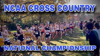 NCAA DIII Cross Country National Championship 2025